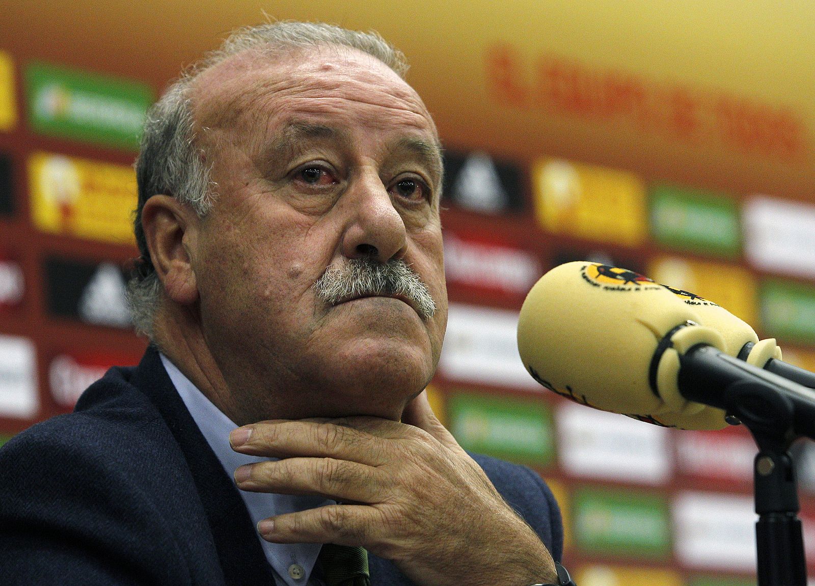 El seleccionador de fútbol de España, Vicente del Bosque, en rueda de prensa.