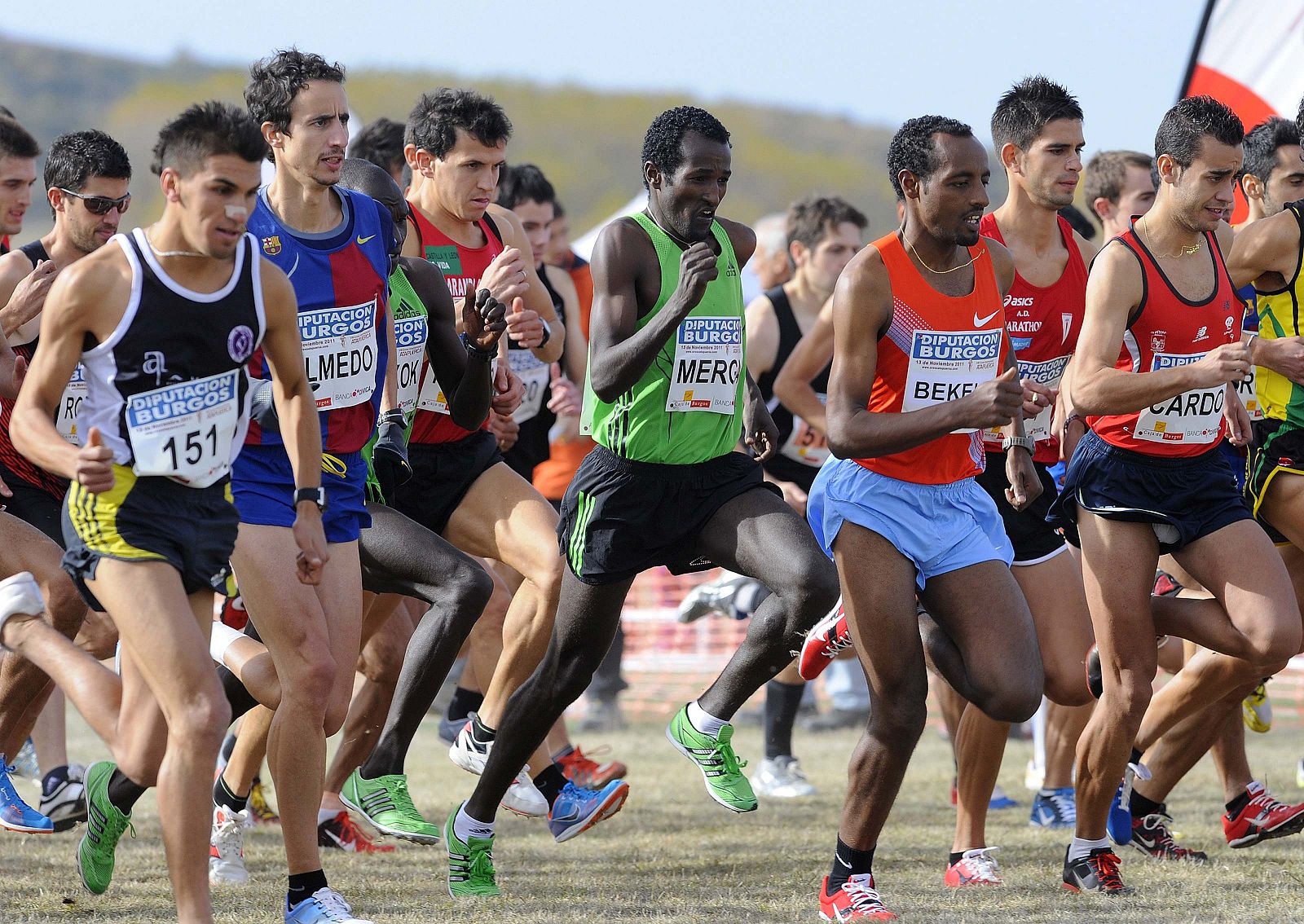 Carrera masculina del último cross internacional disputado en Atapuerca, Burgos, el pasado 13 de noviembre.