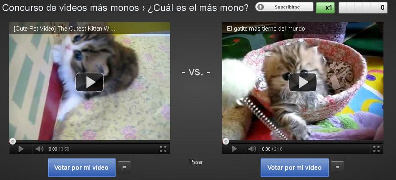 ¿Cuál es más mono? Un ranking lo decide en Slam