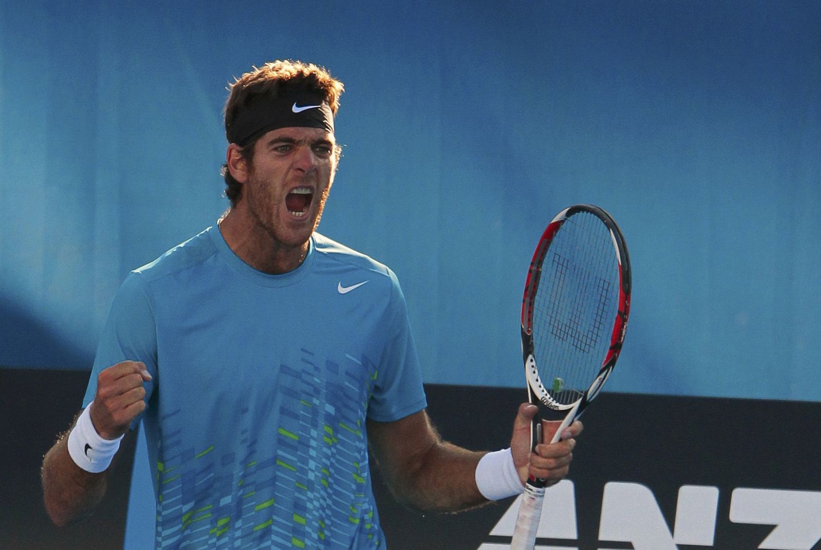 Del Potro se mete en cuartos