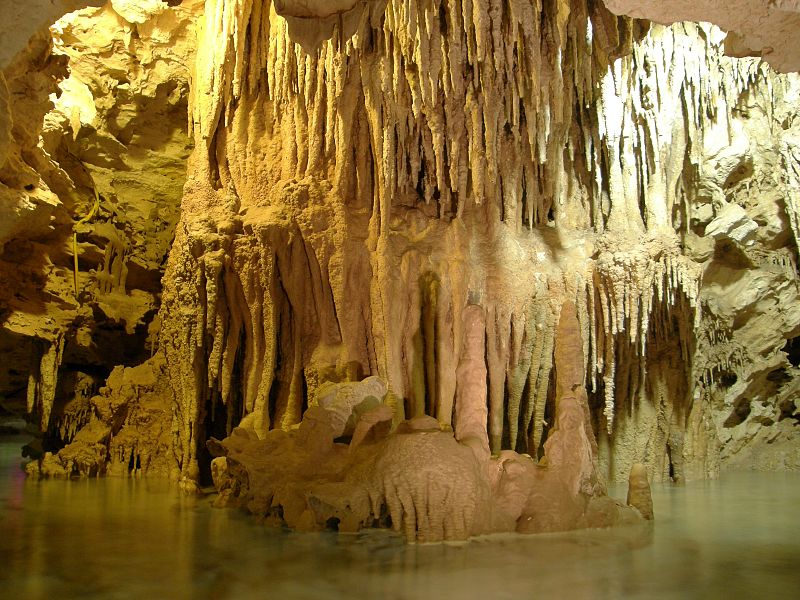 Cenote (Riviera Maya)