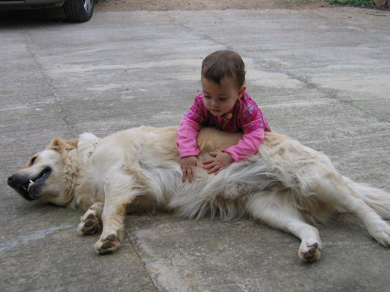 Salsa, del equipo de terapia con animales Somos dos, con una niña