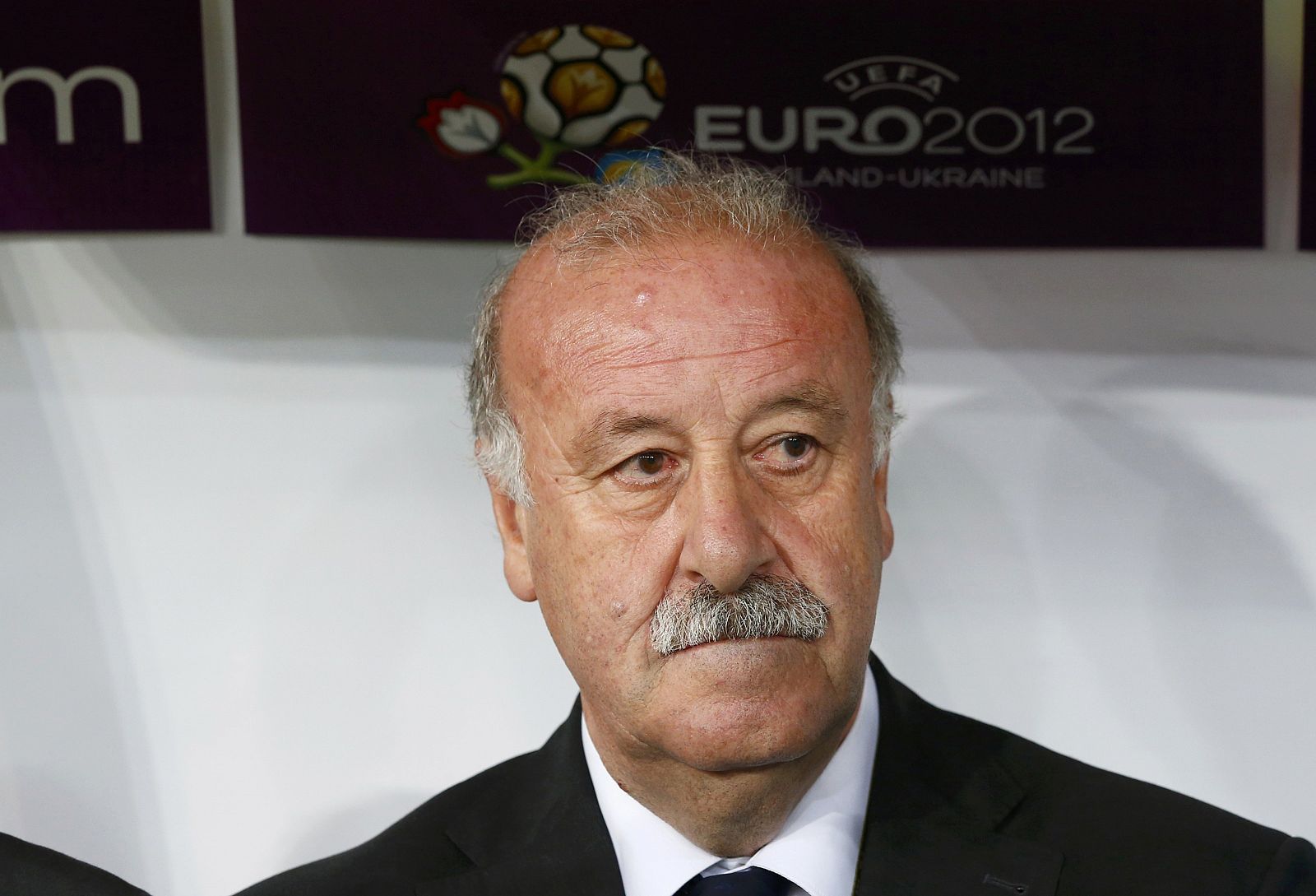 Spain's coach del Bosque looks on during their Euro 2012 final soccer match against Italy at the Olympic stadium in Kiev