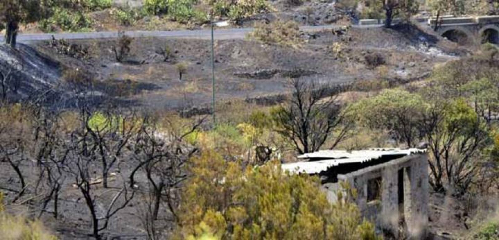 Incendios en Canarias