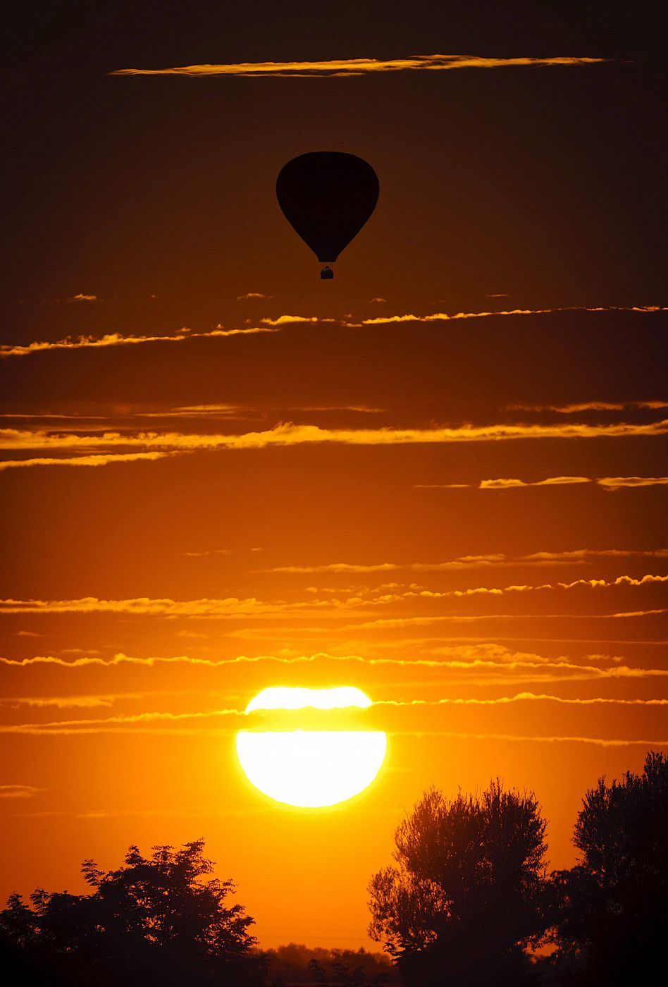 CONCURSO DE GLOBOS AEROSTÁTICOS