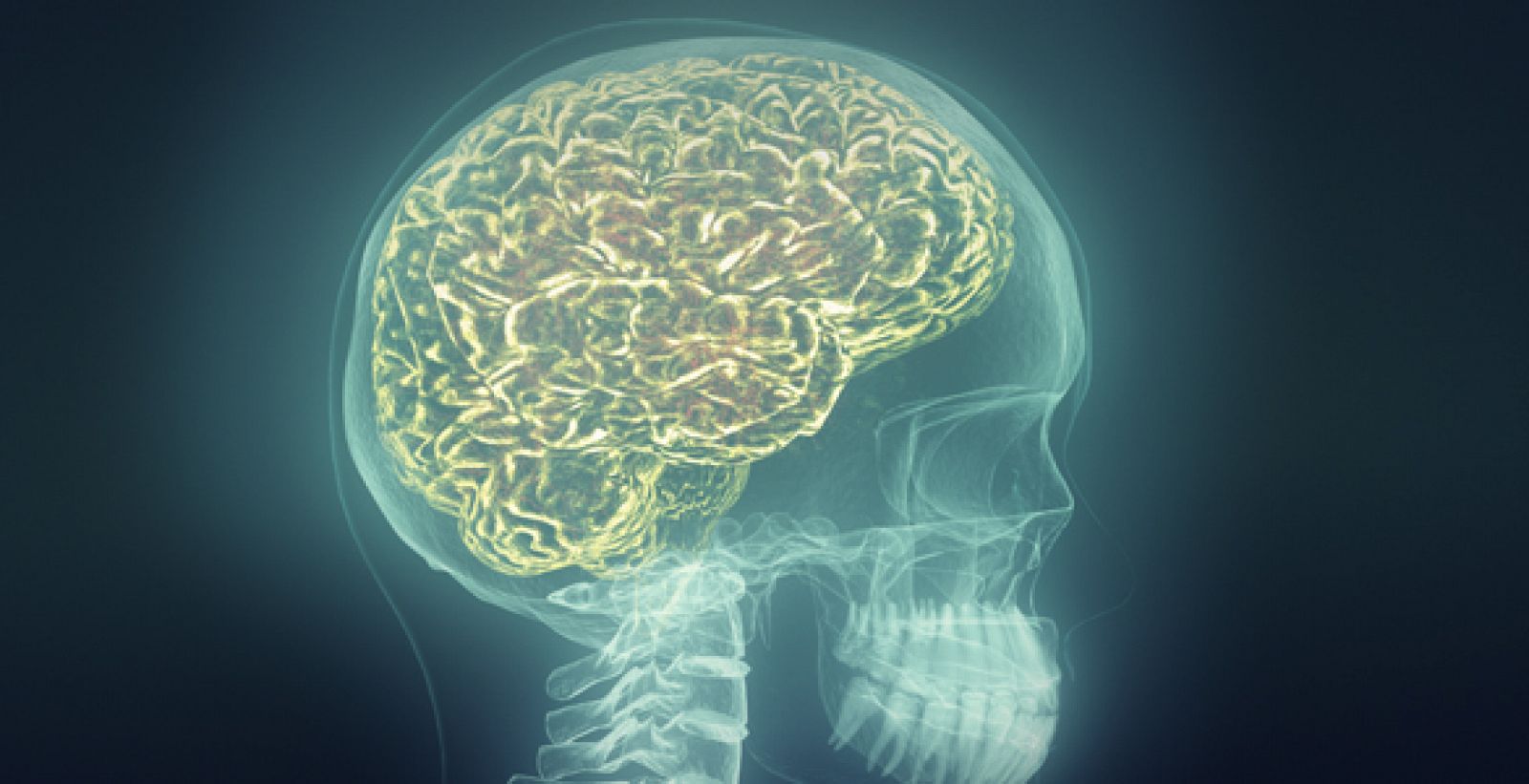 La nueva técnica desarrollada por el CSIC permite la lectura de la actividad eléctrica de varias zonas del interior del cerebro