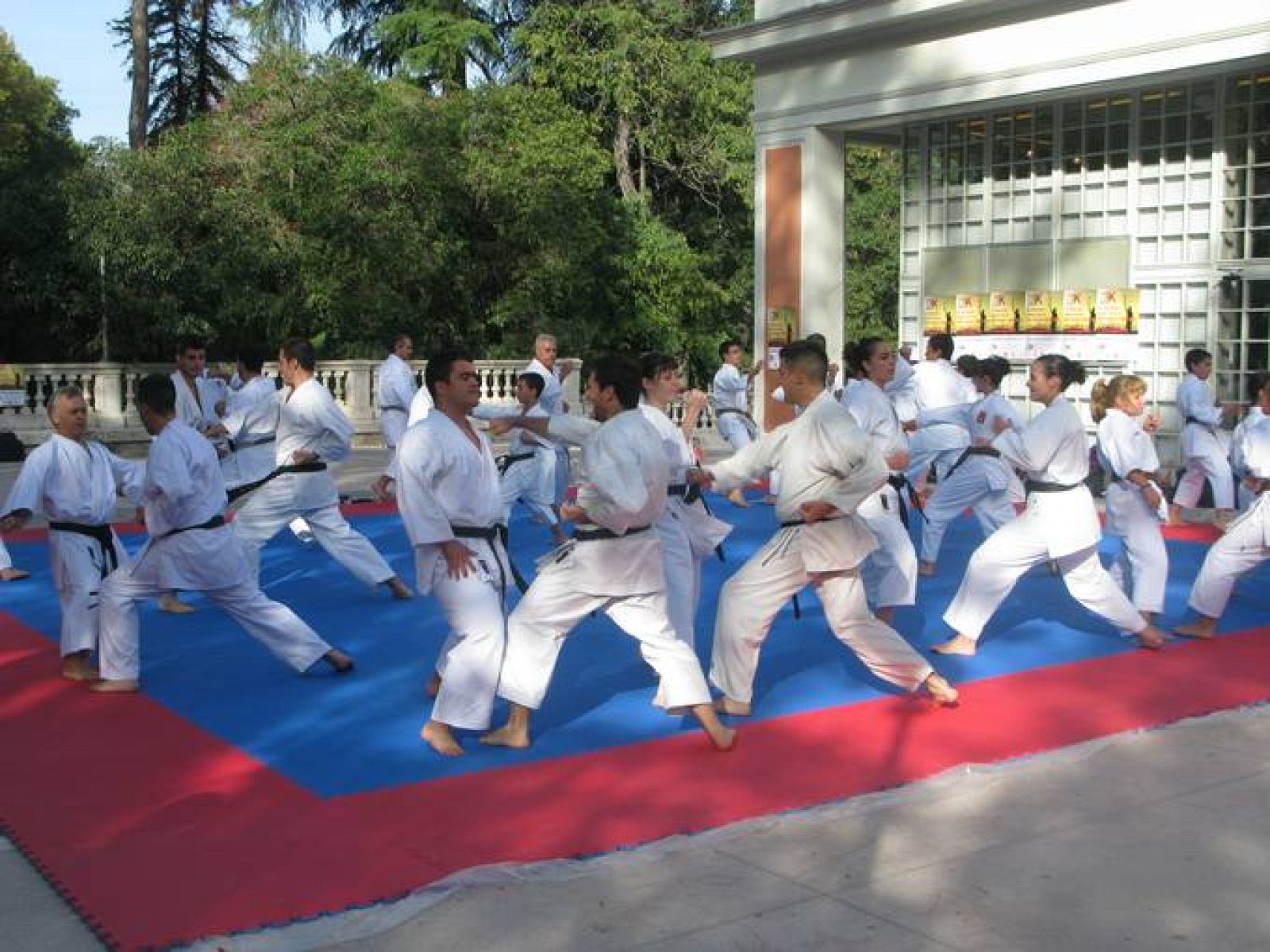 Exhibición de karate en Madrid. 