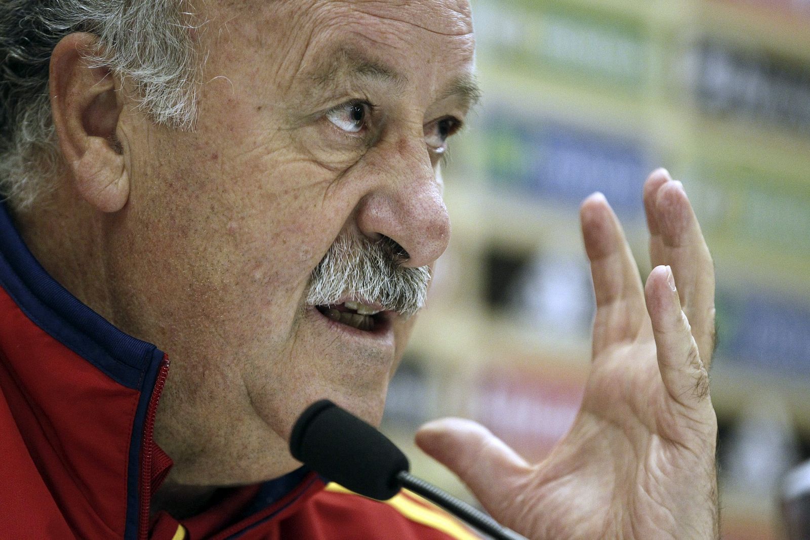 El seleccionador español de fútbol, Vicente del Bosque, durante la rueda de prensa