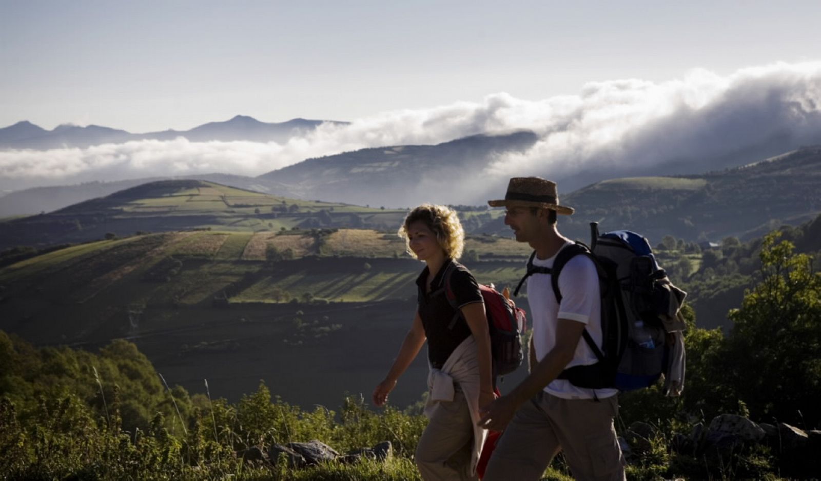 El Camino de Santiago