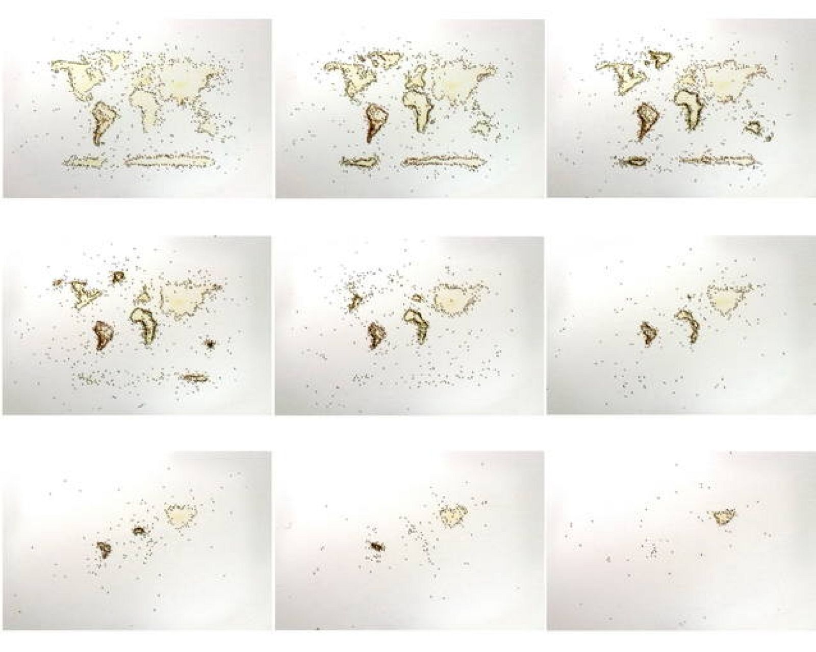  Rivane Neuenschwander. Contingente 2008. Cortesía de la artista y Galeria Fortes Vilaça. © VEGAP, Barcelona, 2012