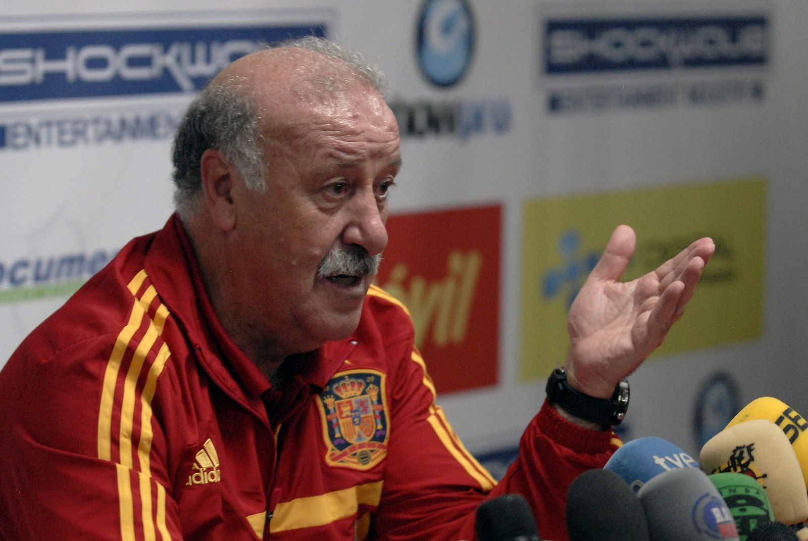 El director técnico de la selección de España, Vicente del Bosque, habla en una rueda de prensa