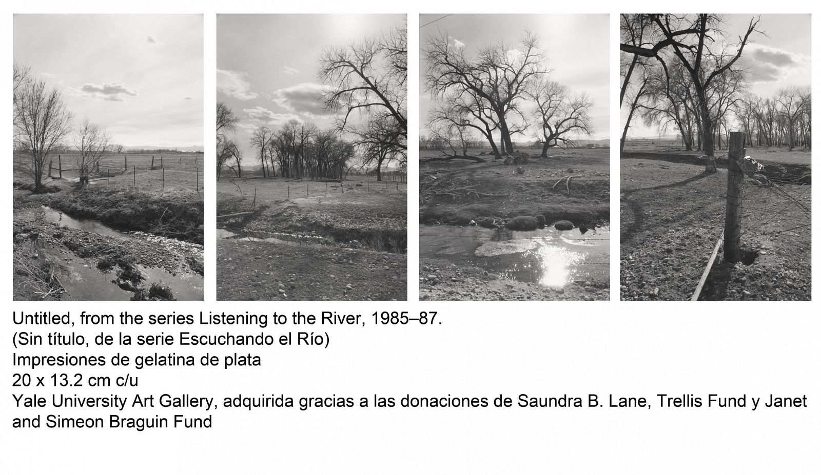 Detalle de una composición de varias fotografias, que pertenece a la serie 'Escuchando el río' (1985-1987)