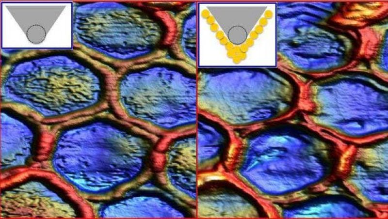 Comparativa de lo que permite ver la nueva técnica para microscopios de fuerzas