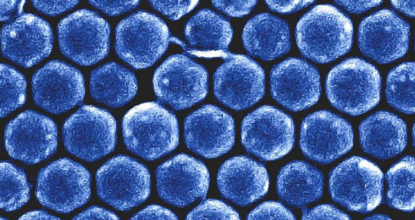 Nuevo metamaterial desarrollado por el CSIC