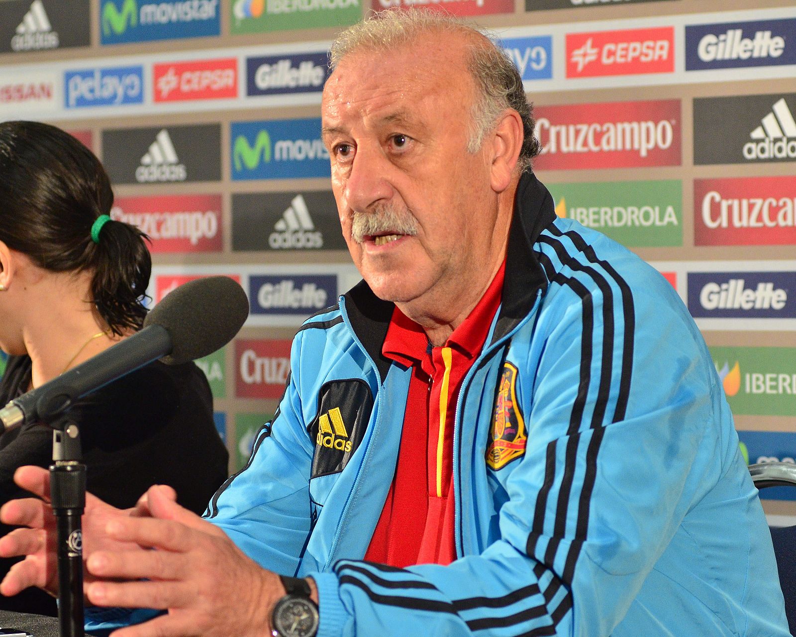 El entrenador de la selección española de fútbol, el salmantino Vicente del Bosque.