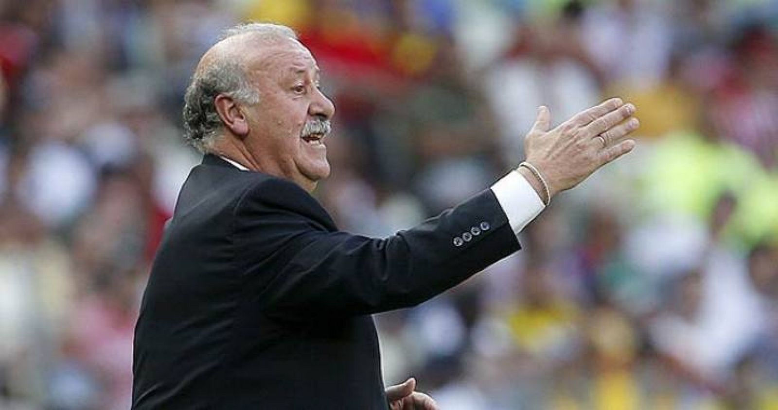 El seleccionador de España, Vicente del Bosque, da instrucciones a sus jugadores en el partido ante Nigeria