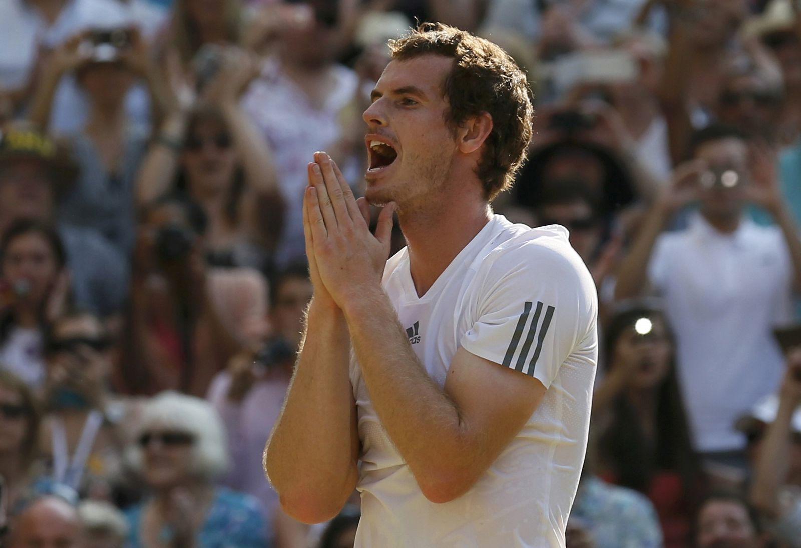 Andy Murray celebra su victoria ante Federer en la final de Wimbledon 2013