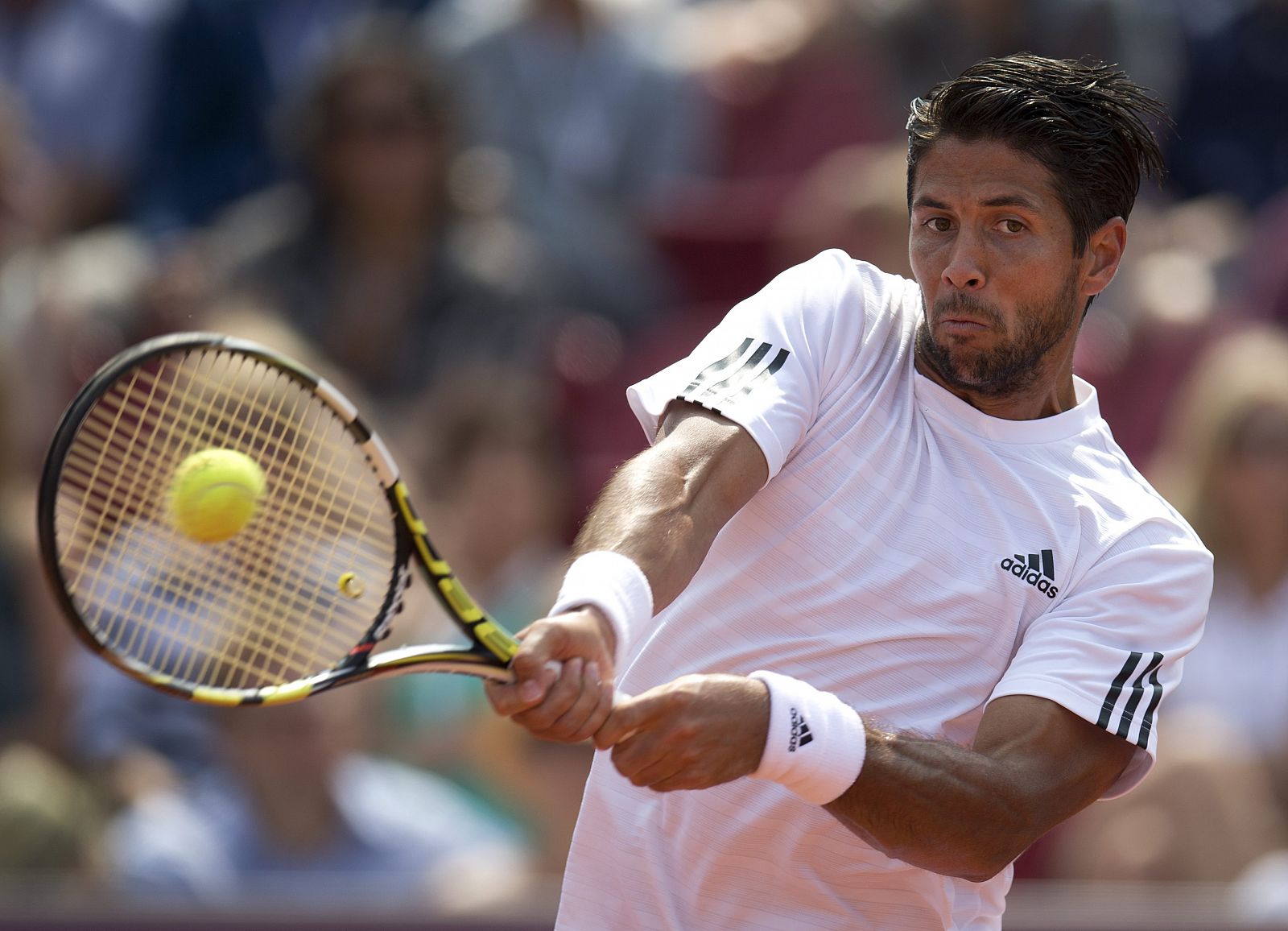 Fernando Verdasco