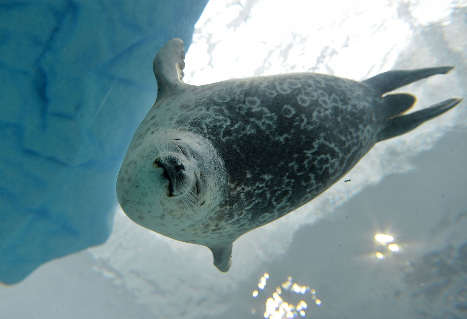 Las temperaturas de la superficie y de las profundidades de los océanos también aumentaron en 2012, según el informe de la Administración de Océanos y Atmósfera de Estados Unidos (NOAA).