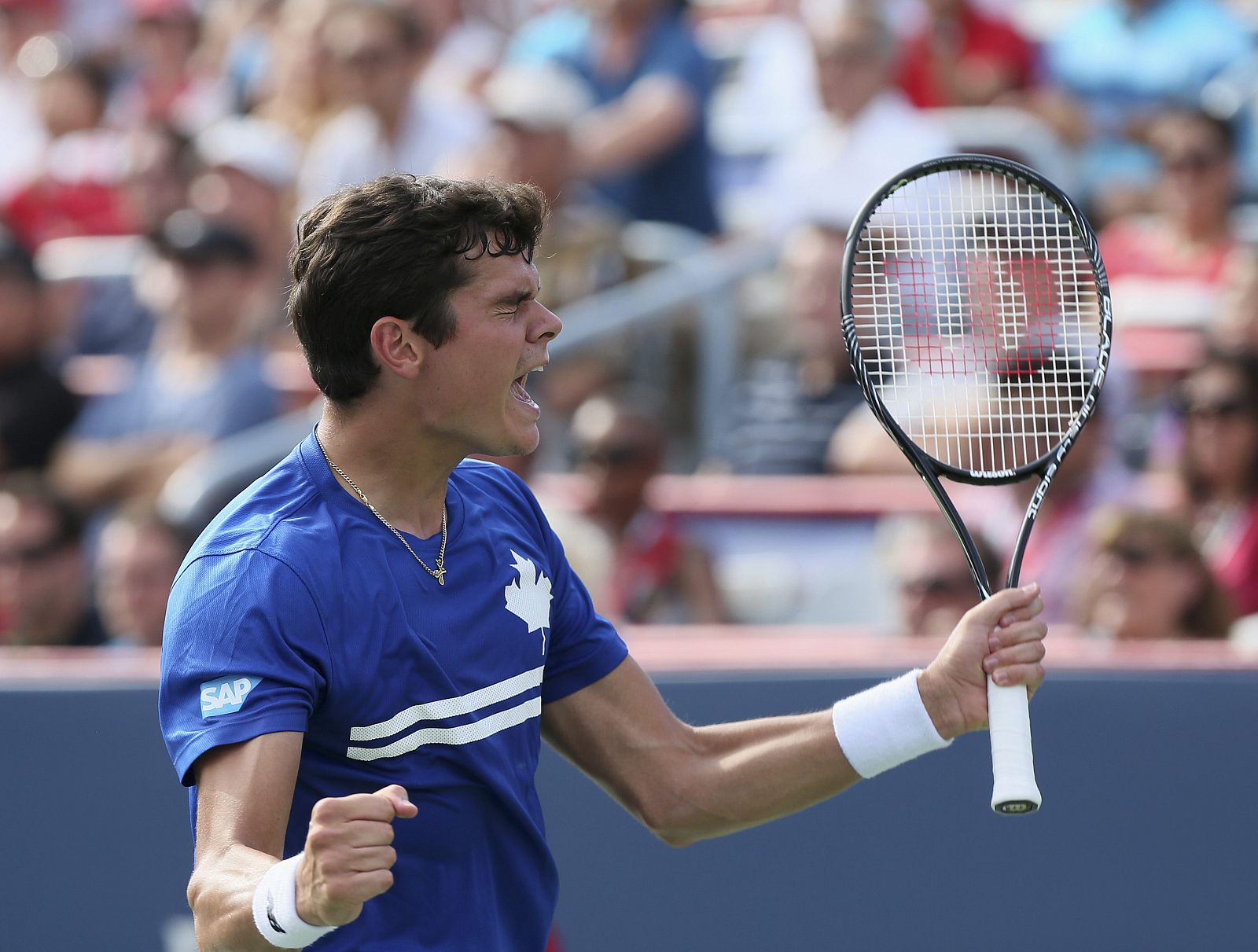 Raonic celebra su victoria sobre Gulbis.