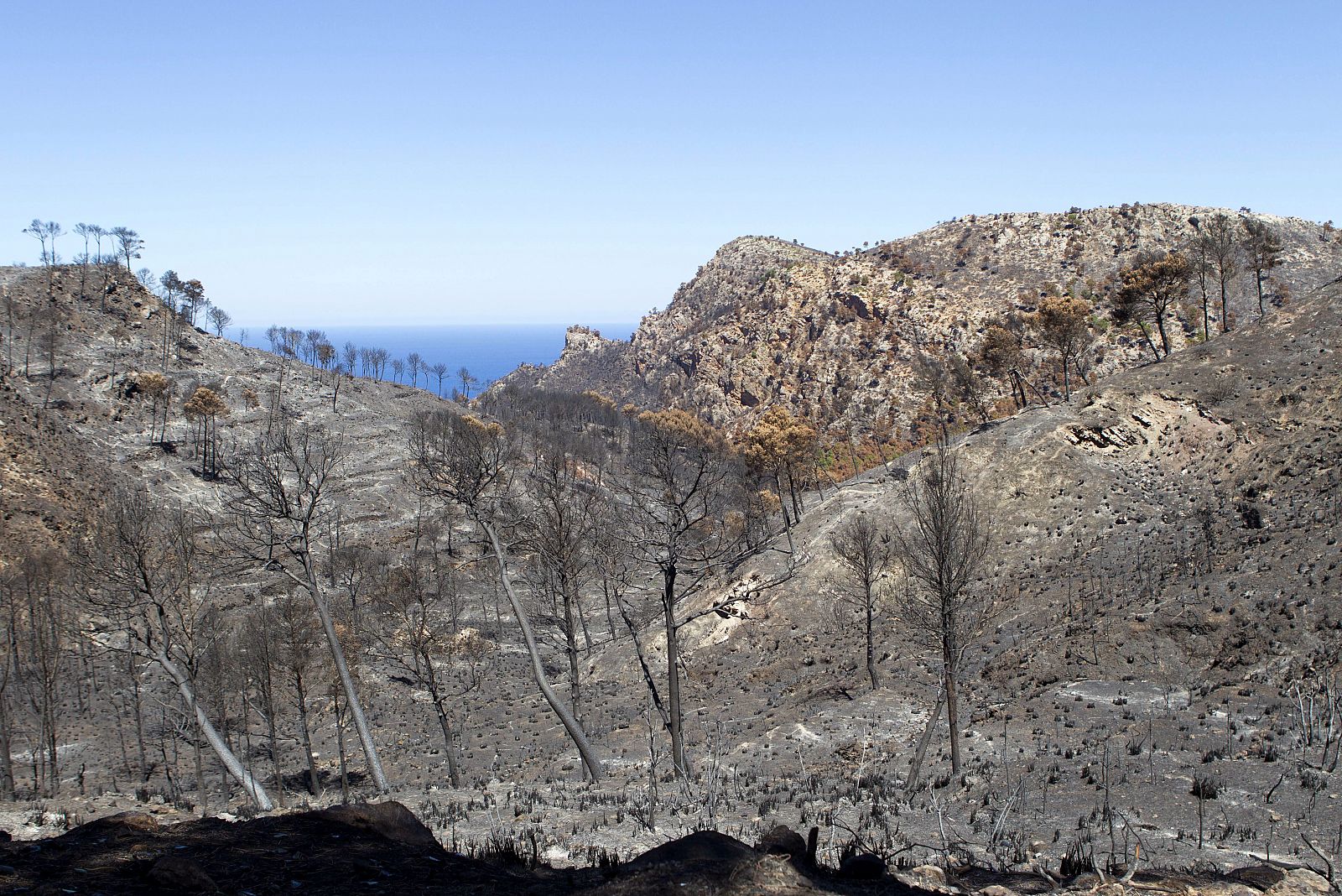 El fuego ha quemado 2.140,2 hectáreas en Andratx, 187,3 en Estellencs y 7,5 en Calvià.