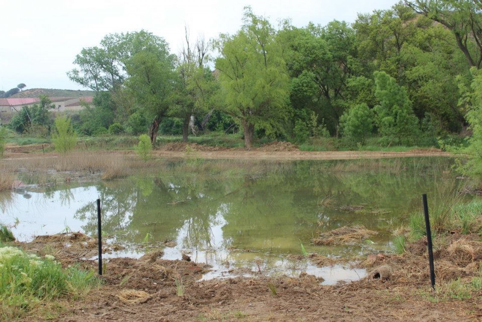 Plantaciones inundadas de agua