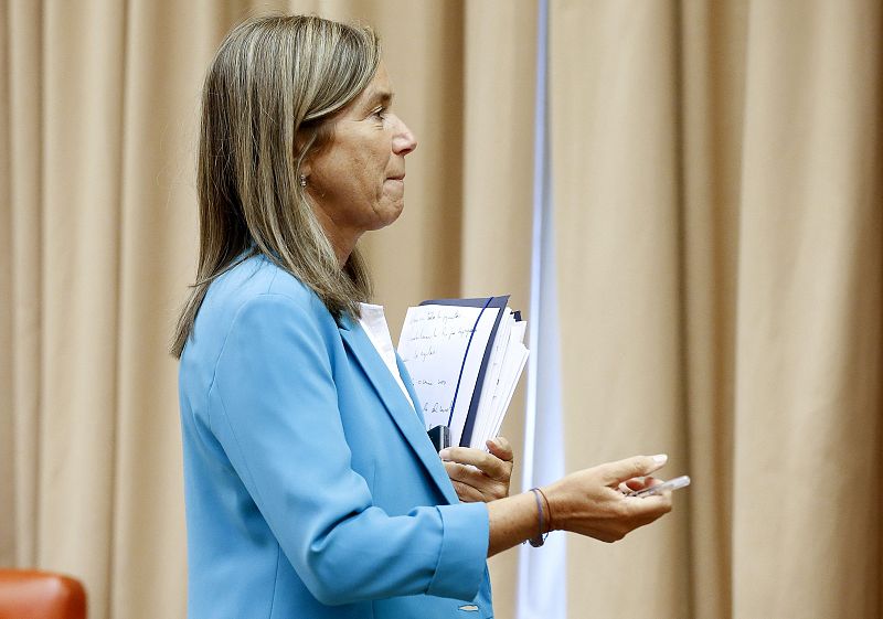 COMPARECENCIA DE ANA MATO