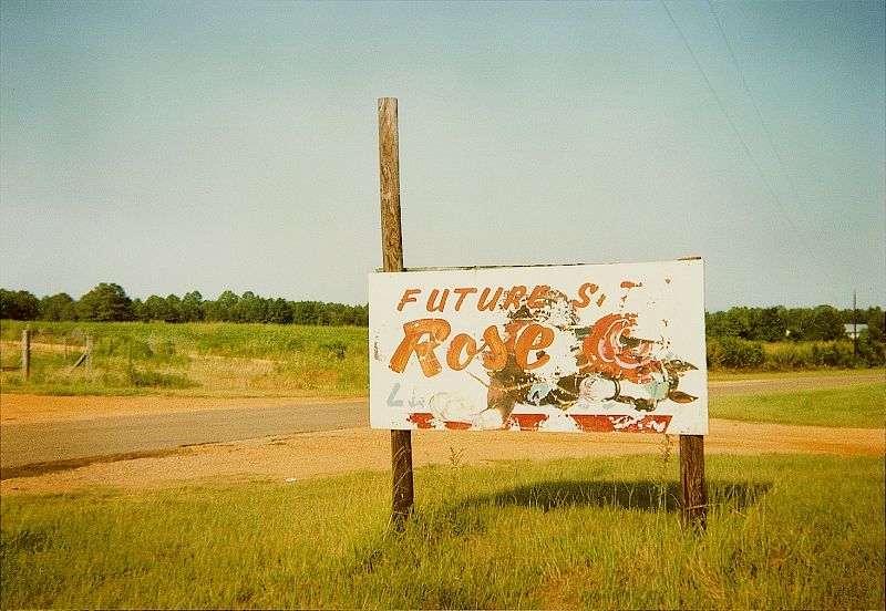 Sign, Near Greensboro, Alabama, 1978