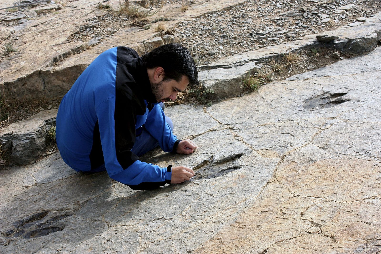 Fotografía facilitada por el investigador Ignacio Díaz que ha identificado en varios yacimientos riojanos la huella de un dinosaurio bípedo.