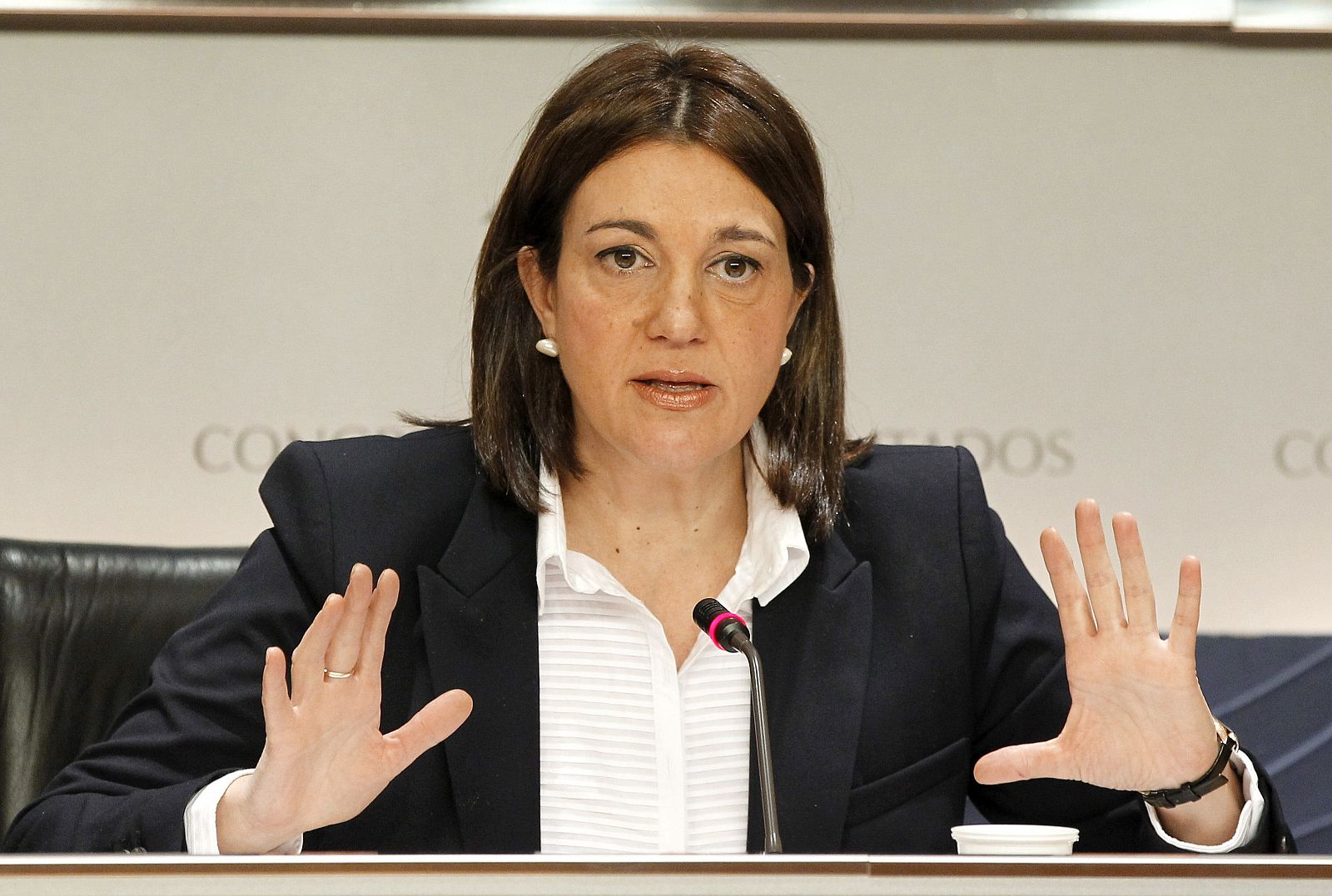 La portavoz del PSOE en el Congreso, Soraya Rodríguez