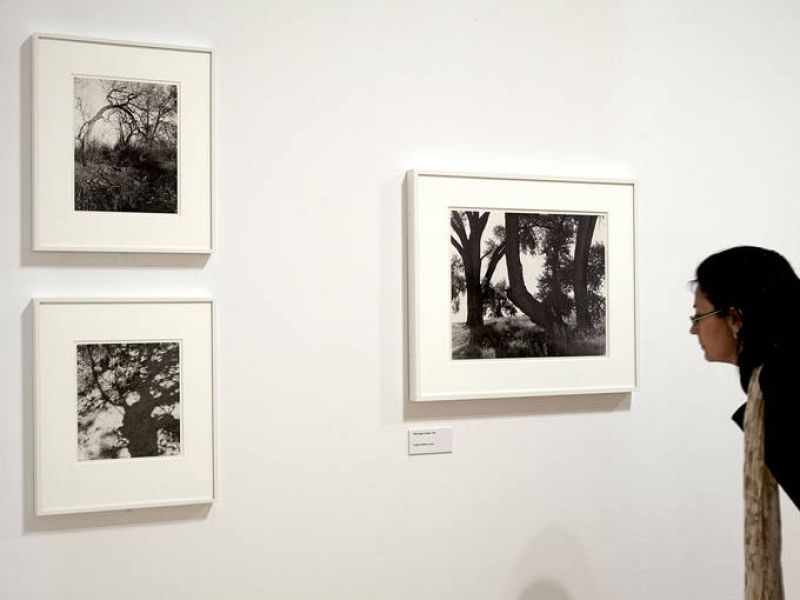 Una de las salas del Museo Reina Sofía.