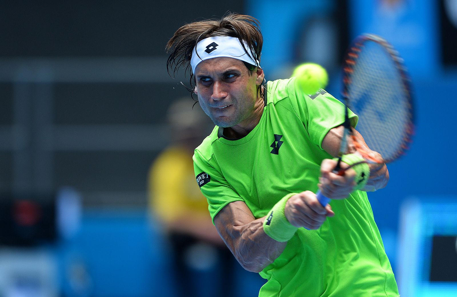 David Ferrer