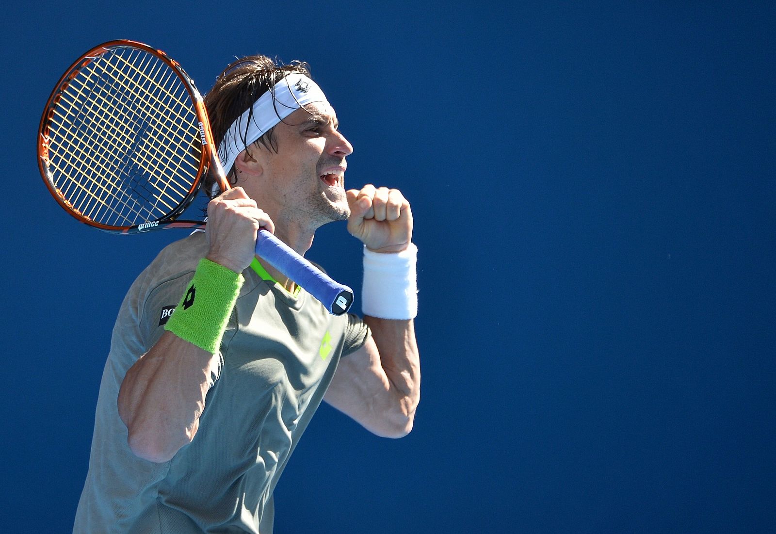 David Ferrer celebra su victoria ante Florian Mayer