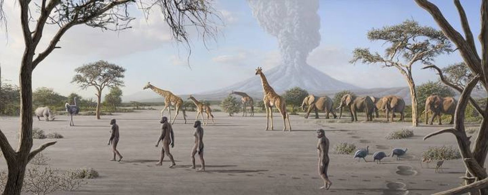 Recreación del momento en el que se producen las pisadas de Laetoli hace más de 3 millones de años.