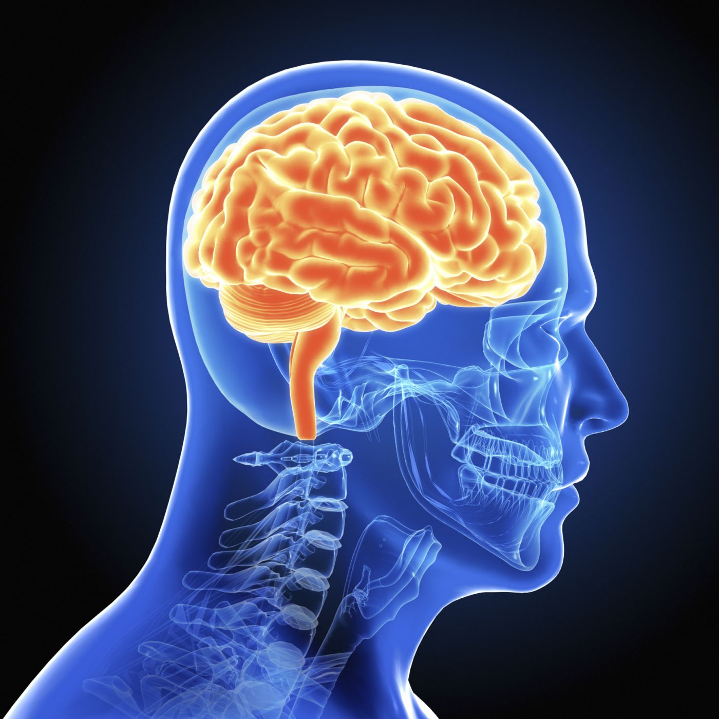 Imagen de escáner del cerebro de una persona
