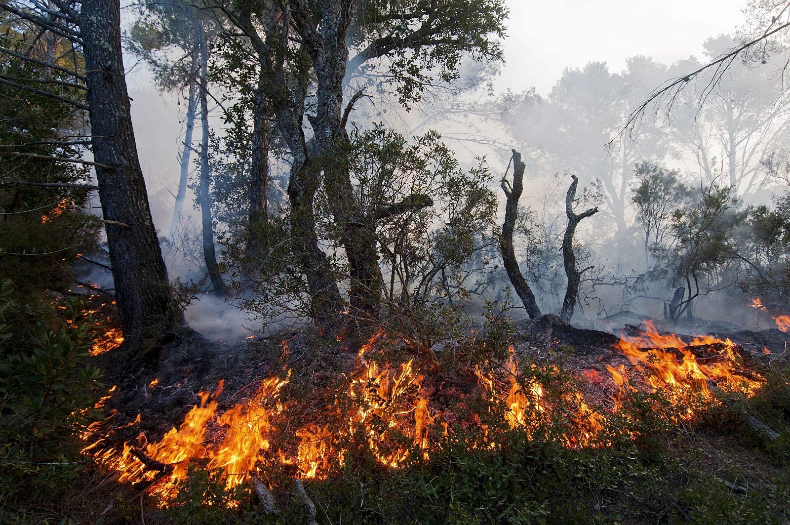 LOS BOMBEROS TRABAJAN PARA ESTABILIZAR EL PERÍMETRO DEL INCENDIO DE GIRONA