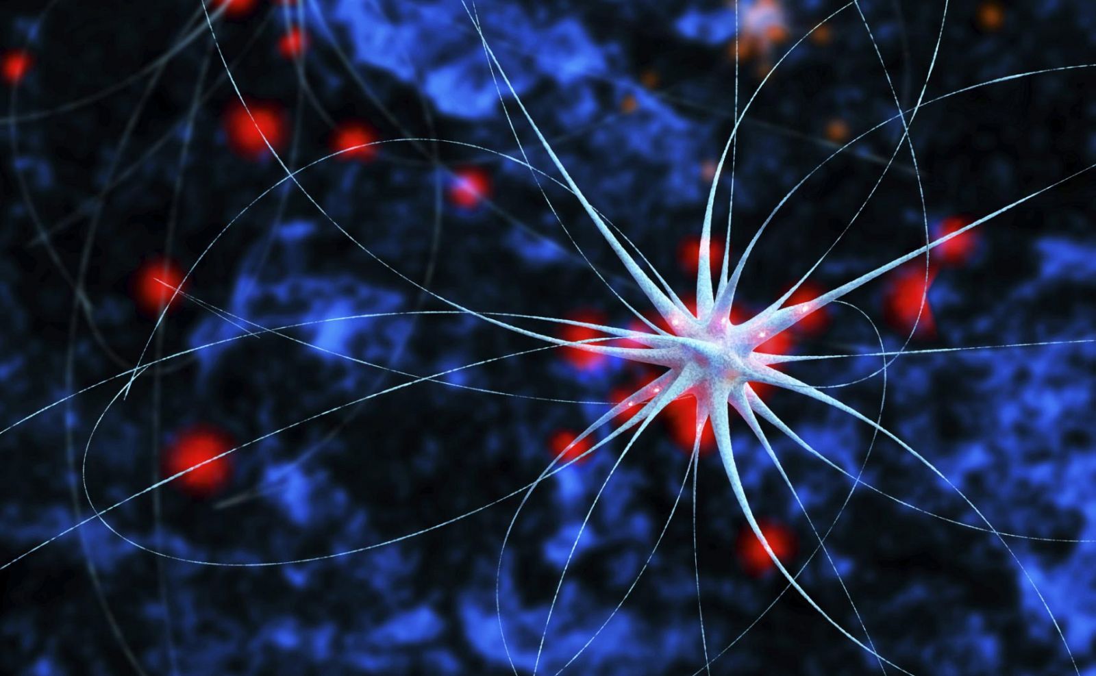 Ilustración de las conexiones nerviosas de las neuronas.