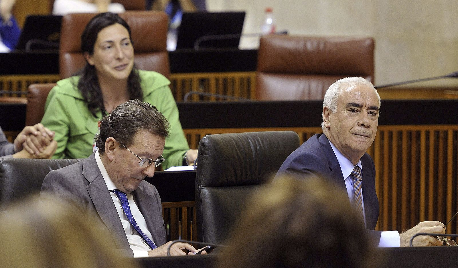 PLENO PARLAMENTO ANDALUZ