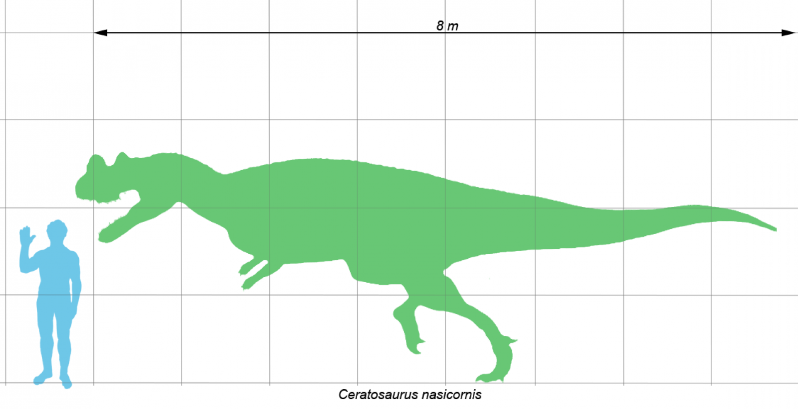 Escala de un dinosaurio ceratosaurio.