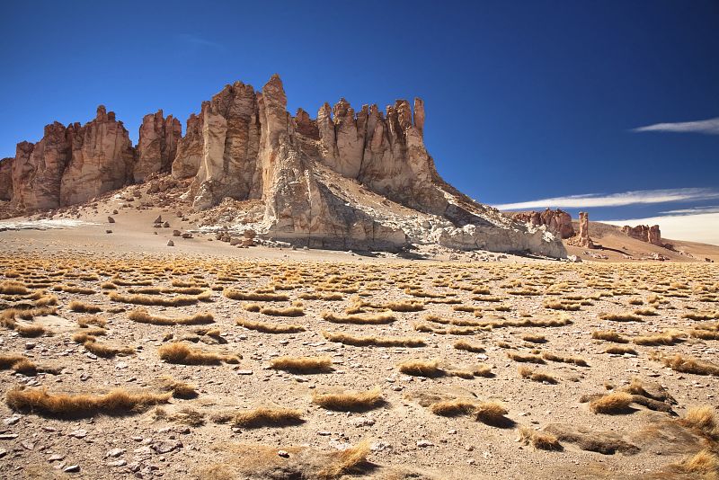 Salar en el desierto de Atacama en Chile