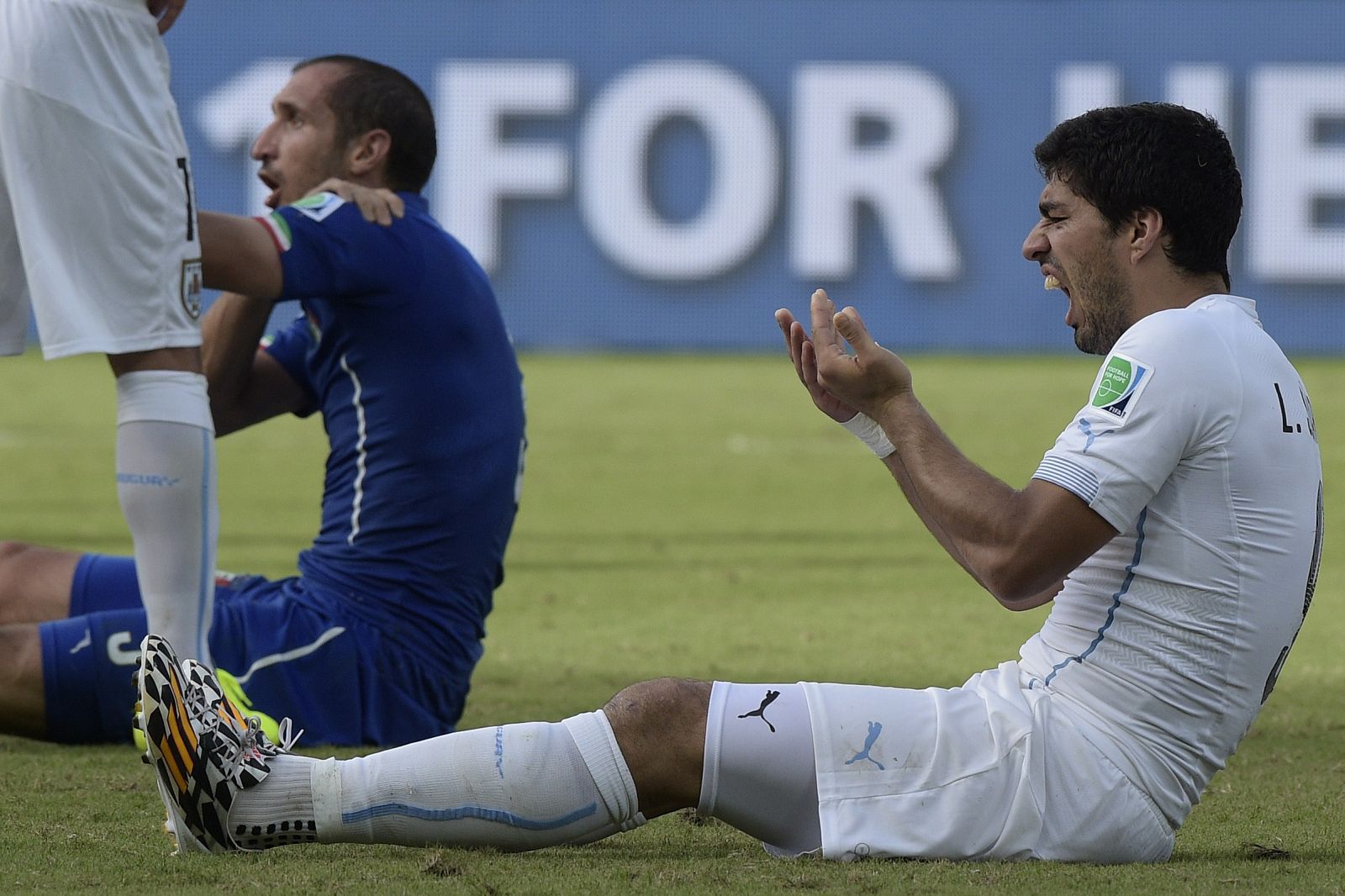 Luis Suárez hace gestos de dolerse en el rostro después de su encontronazo con Chiellini, al fondo