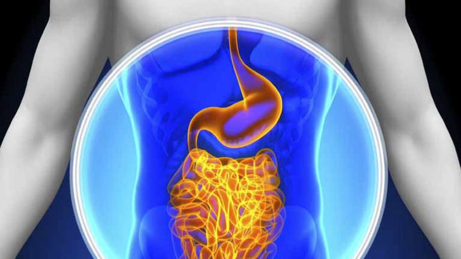 Descubren más de 500 microbios desconocidos en la flora intestinal ...