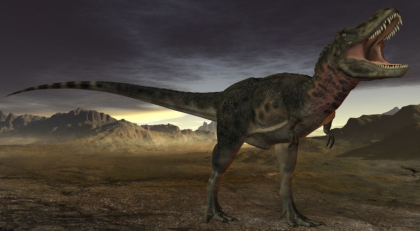 Un Tarbosaurus bataar.