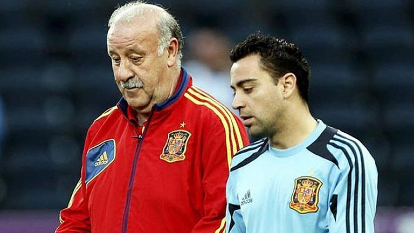 Del bosque - Xavi