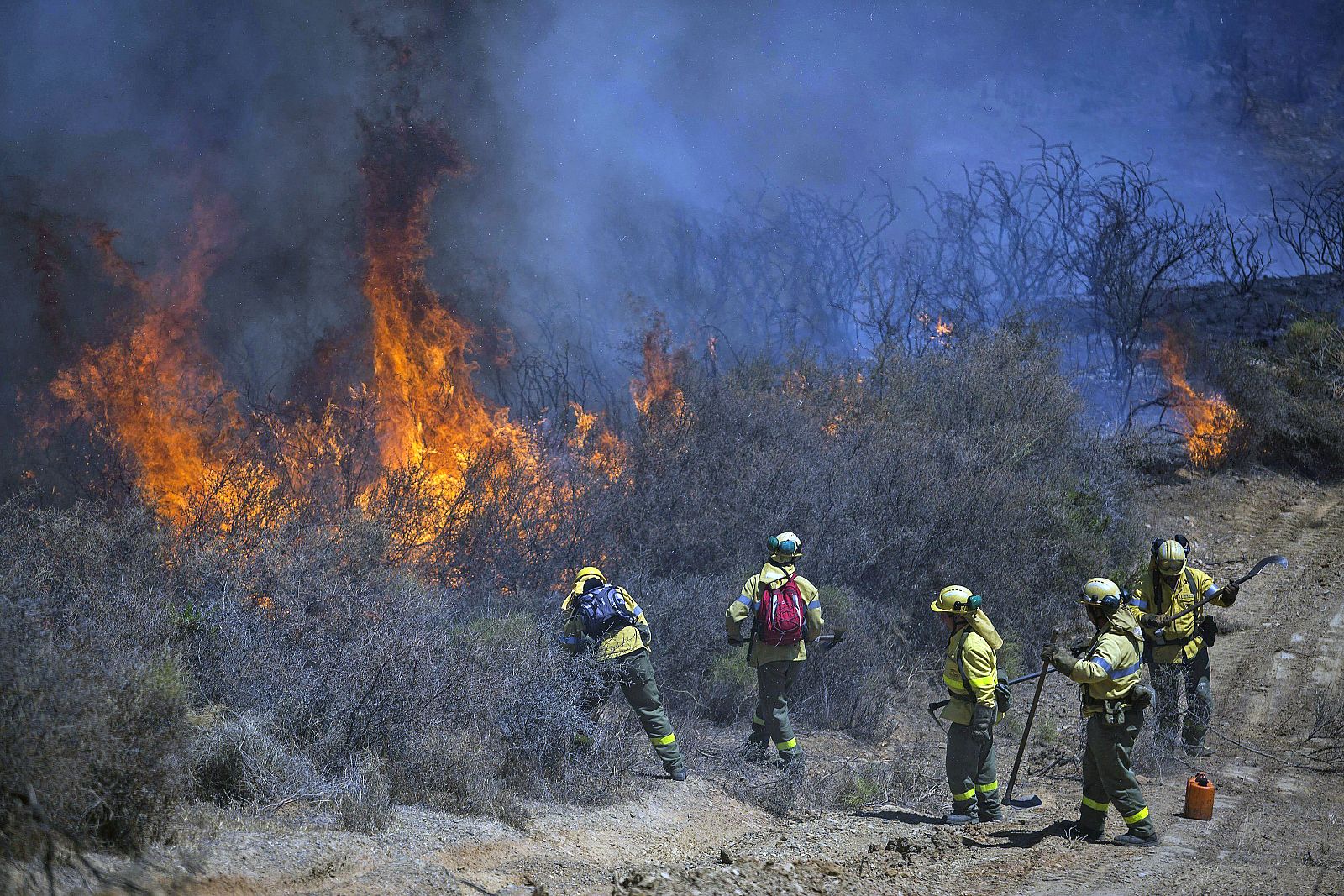 SE REACTIVA EL INCENDIO DE MIJAS FAVORECIDO POR EL CALOR Y EL VIENTO