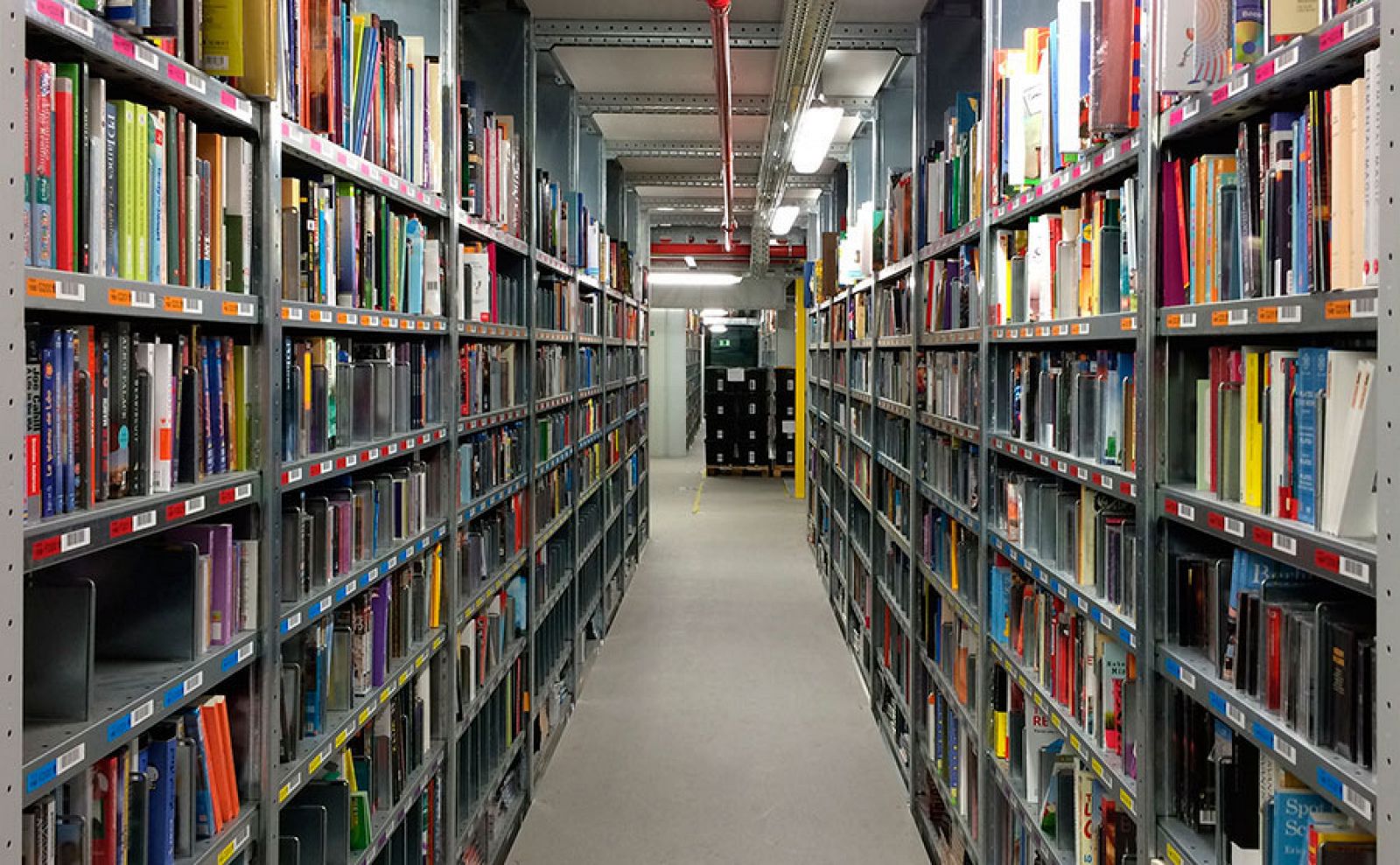 Libros en los estantes de una biblioteca