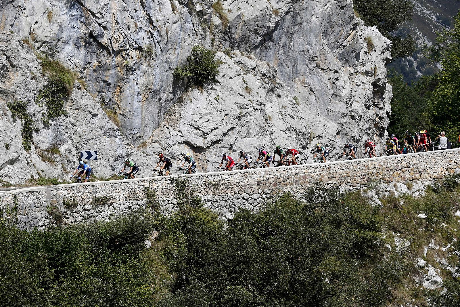 El pelotón de la etapa de la Vuelta