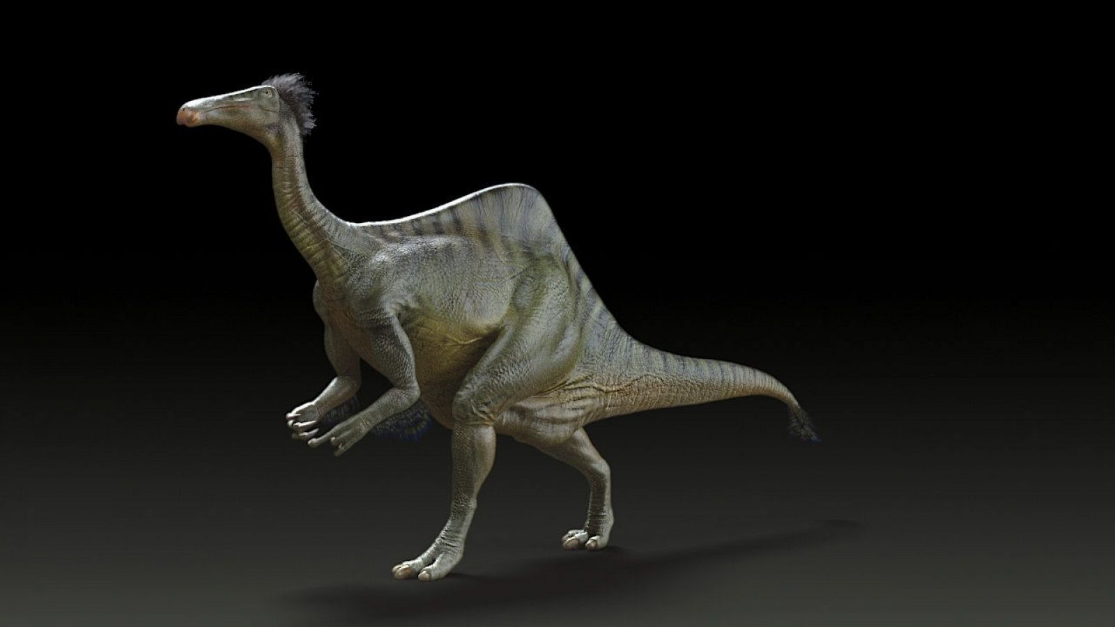 El Deinocheirus mirificus vivió hace 70 millones de años en Mongolia