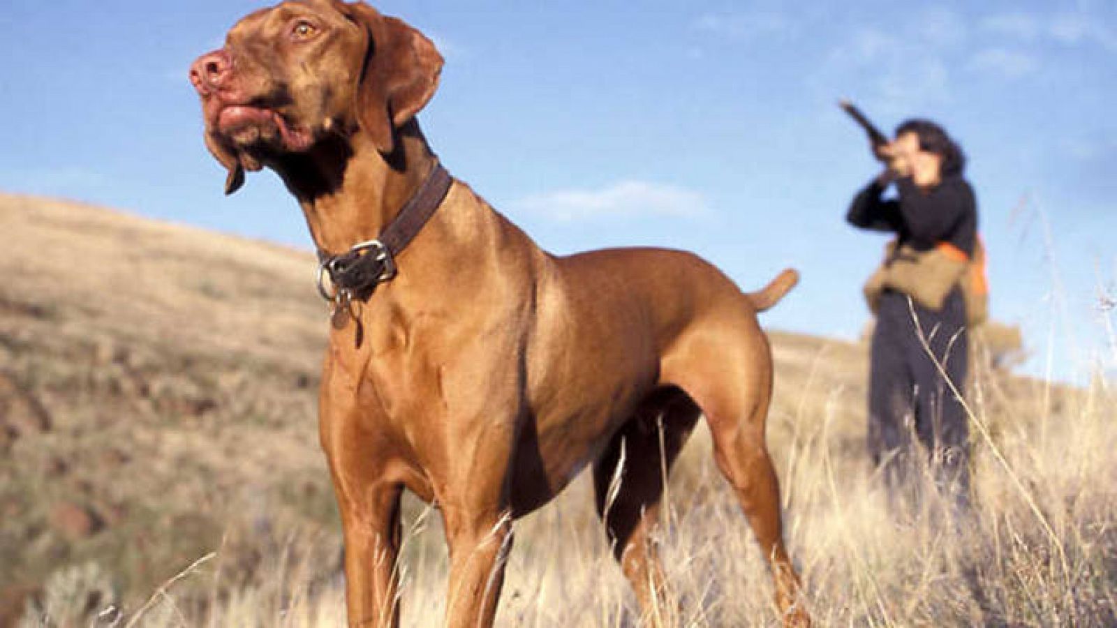 Un cazador con su perro en primer plano.