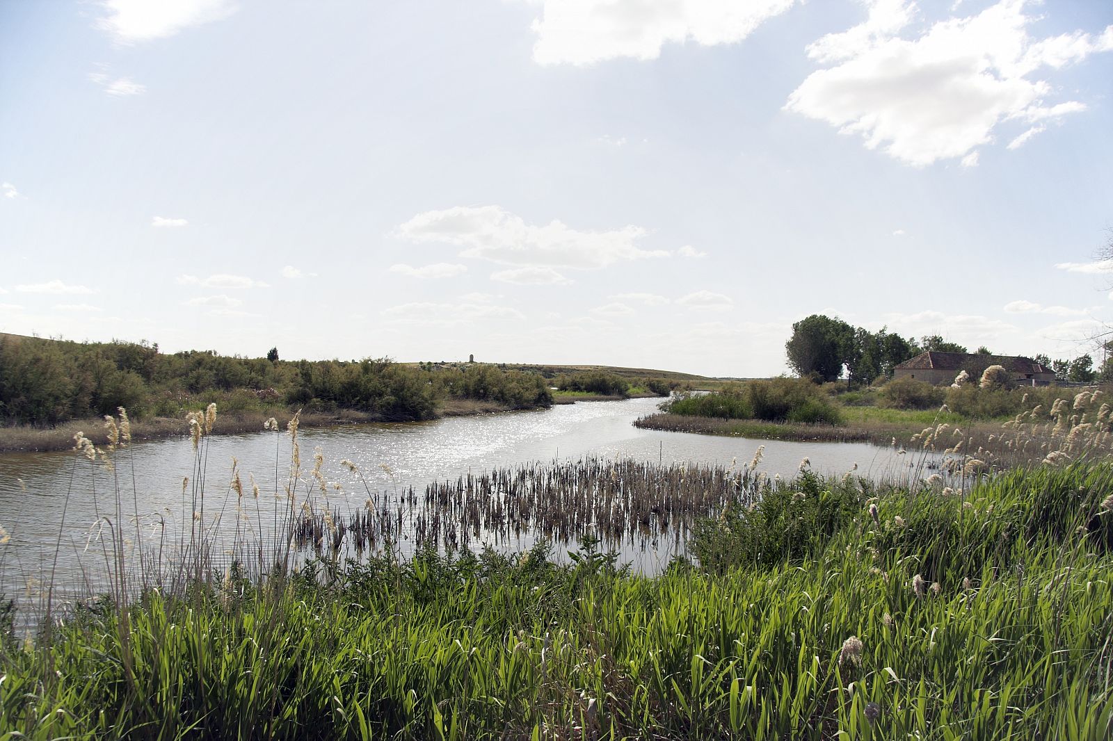 El río Guadiana a su paso por el parque nacional de Las Tablas de Daimiel.